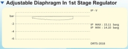 large diaphargm 1